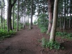 宝登山神社 奥宮の写真のサムネイル写真8