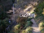 秩父華厳の滝の写真のサムネイル写真18