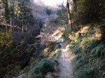 秩父華厳の滝の写真のサムネイル写真31