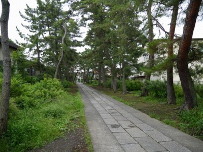 玉敷神社の写真1