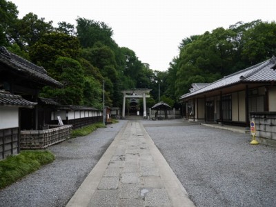 玉敷神社の写真3