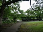 玉敷公園の写真のサムネイル写真2