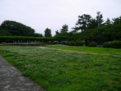 玉敷公園の写真7