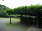 玉敷公園の写真のサムネイル写真11