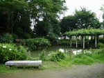 玉敷公園の写真のサムネイル写真16