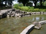 北本市子供公園の写真のサムネイル写真7