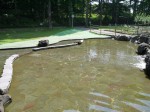 北本市子供公園の写真のサムネイル写真10