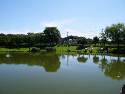 西城沼公園の写真5