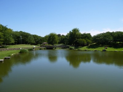 西城沼公園の写真6