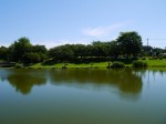 西城沼公園の写真のサムネイル写真7