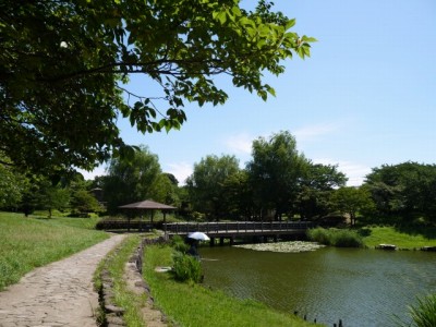 西城沼公園の写真10