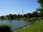 西城沼公園の写真のサムネイル写真11