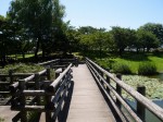 西城沼公園の写真のサムネイル写真12