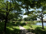 西城沼公園の写真のサムネイル写真16