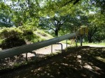 西城沼公園の写真のサムネイル写真17