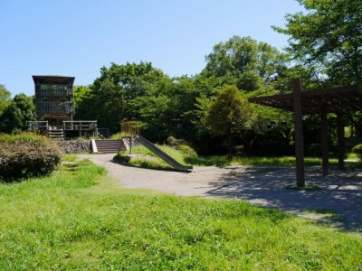 西城沼公園の写真22