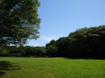 西城沼公園の写真のサムネイル写真32