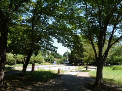 西城沼公園の写真35