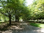 西城沼公園の写真のサムネイル写真36