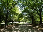 西城沼公園の写真のサムネイル写真38