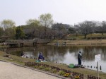 西城沼公園の写真のサムネイル写真39