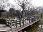 西城沼公園の写真のサムネイル写真40