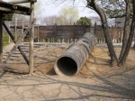 西城沼公園の写真のサムネイル写真43