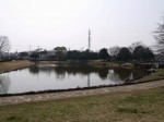 西城沼公園の写真のサムネイル写真46