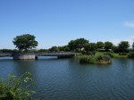 柴山沼の写真のサムネイル写真3