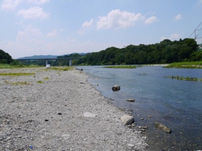 かわせみ河原の写真2