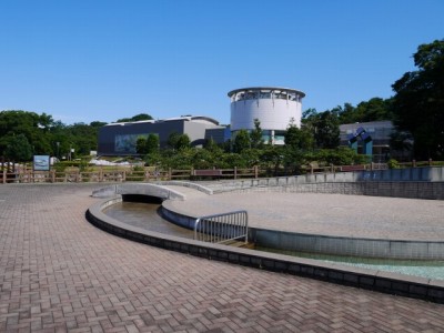 埼玉県立 川の博物館の写真4