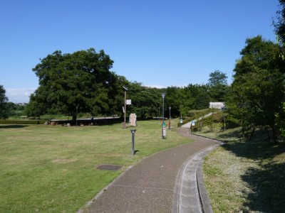 埼玉県立 川の博物館の写真8