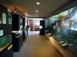 埼玉県立 川の博物館の写真のサムネイル写真10