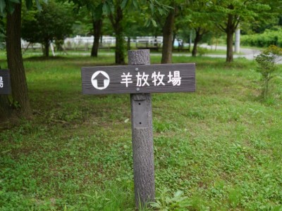 羊山公園の写真