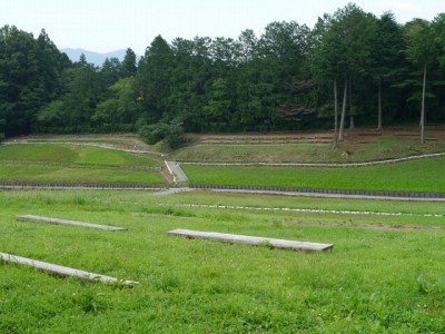 羊山公園の写真12