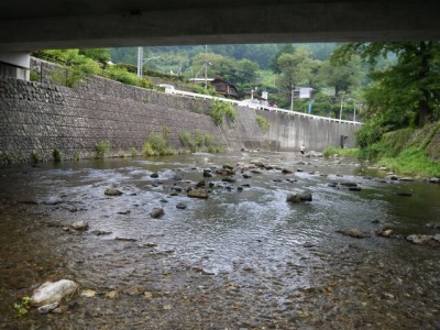 道の駅 果樹公園あしがくぼの写真5