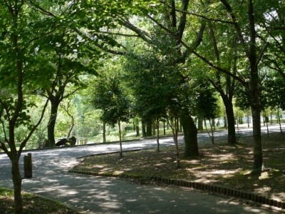 毛呂山総合公園の写真