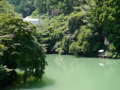 鎌北湖の写真3