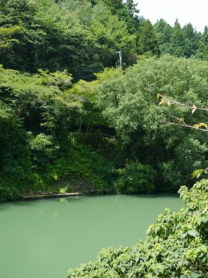 鎌北湖の写真4
