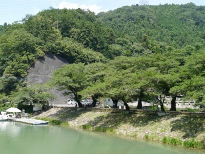 鎌北湖の写真10
