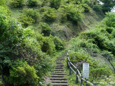 奥武蔵自然歩道の写真4