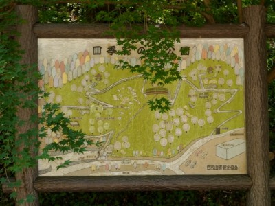 四季彩の丘公園の写真