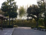 花田苑の写真のサムネイル写真18