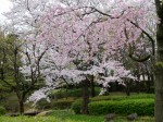 花田苑の写真のサムネイル写真21