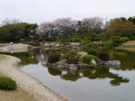 花田苑の写真のサムネイル写真39
