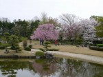 花田苑の写真のサムネイル写真40