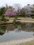 花田苑の写真のサムネイル写真45