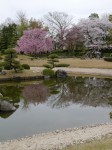 花田苑の写真のサムネイル写真45