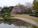 花田苑の写真のサムネイル写真46