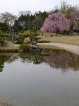 花田苑の写真のサムネイル写真47